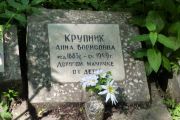 Крупник Анна Борисовна, Москва, Востряковское кладбище